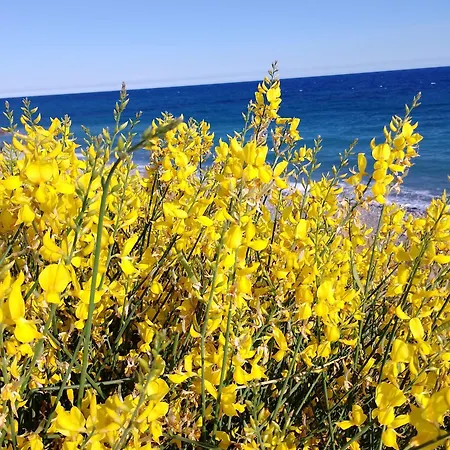 Mare Blu *