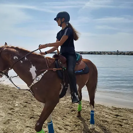 Mare Blu *